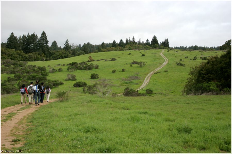 Click to view next image