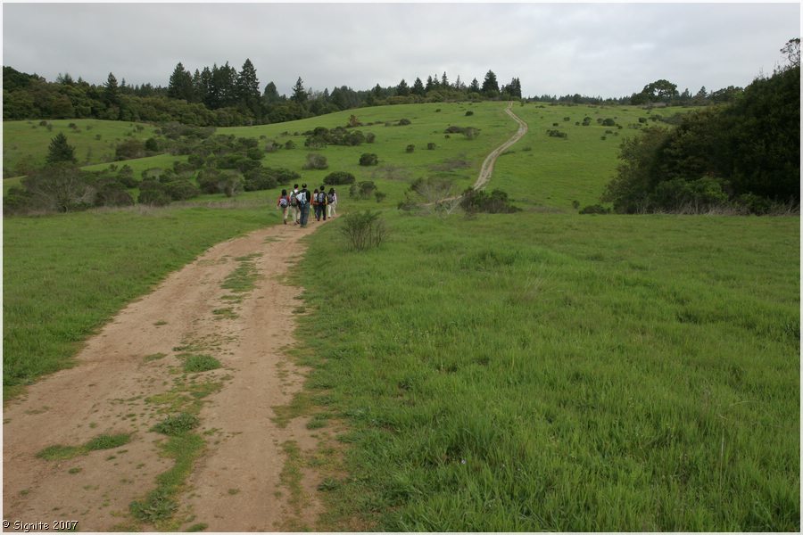 Click to view next image