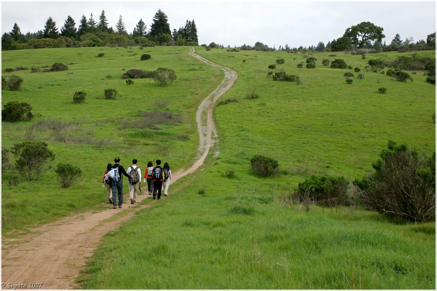 Click to view next image