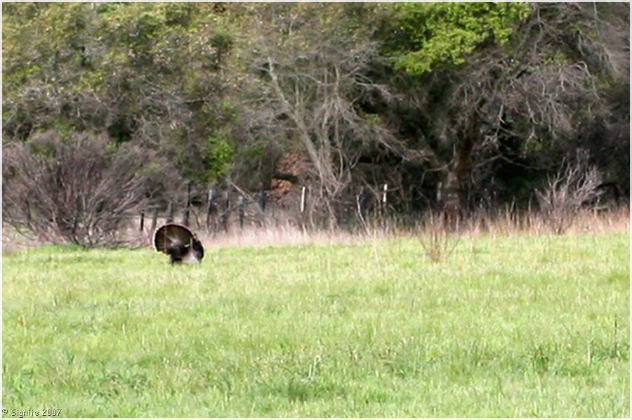 Click to view next image