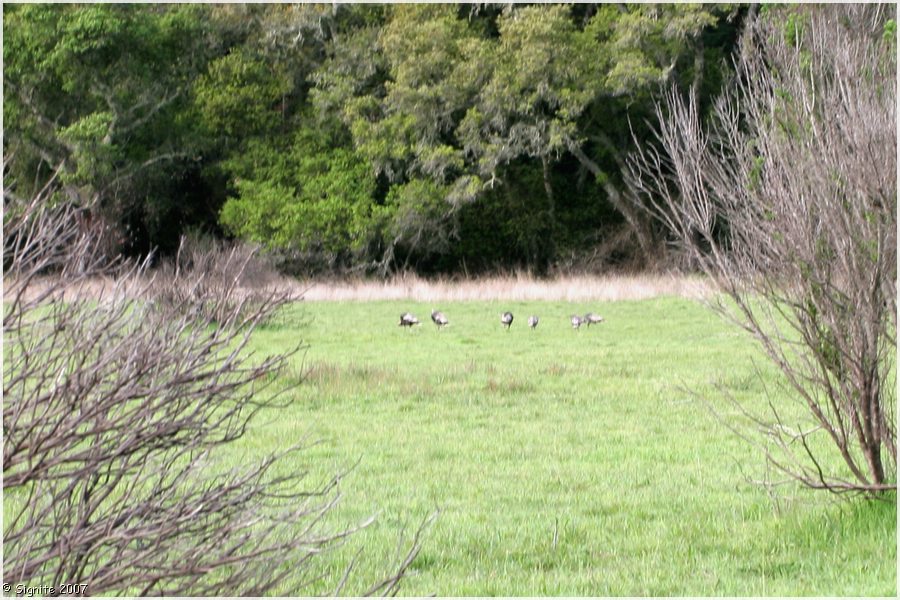 Click to view next image