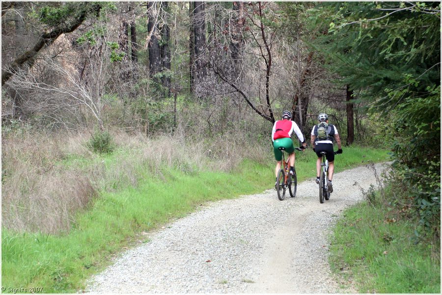 Click to view next image