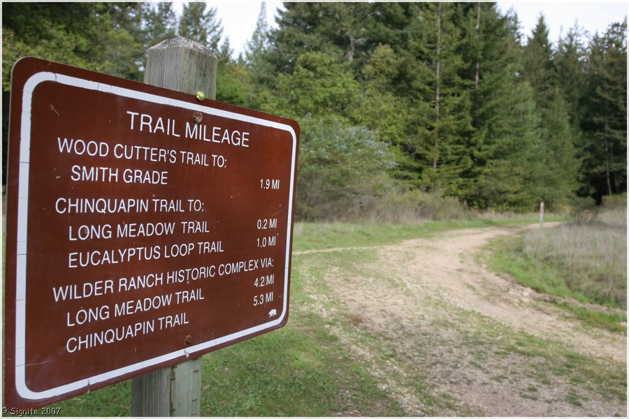 Click to view next image