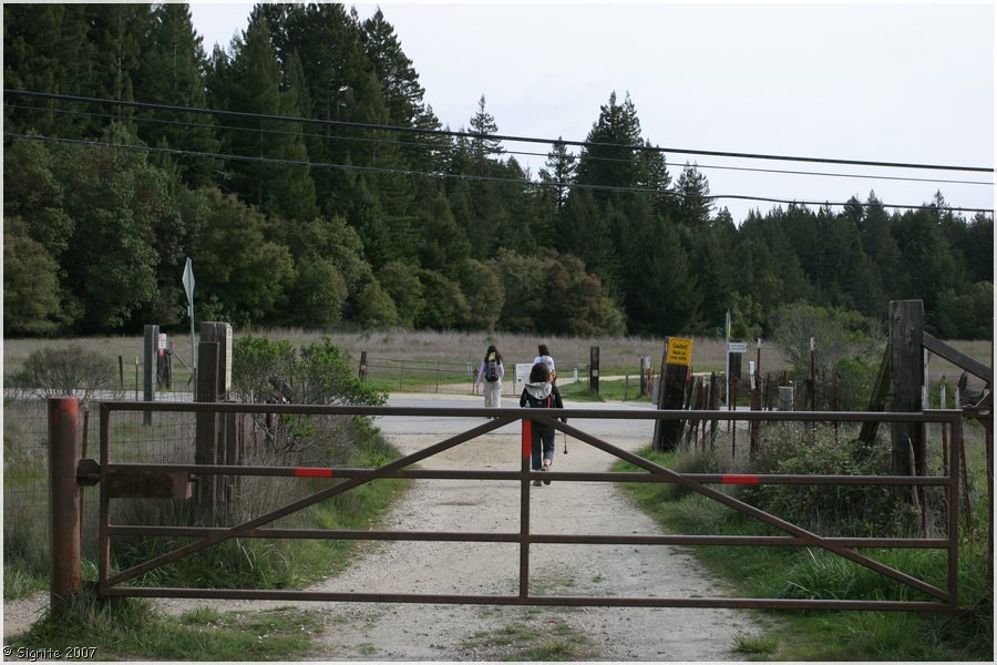 Click to view next image