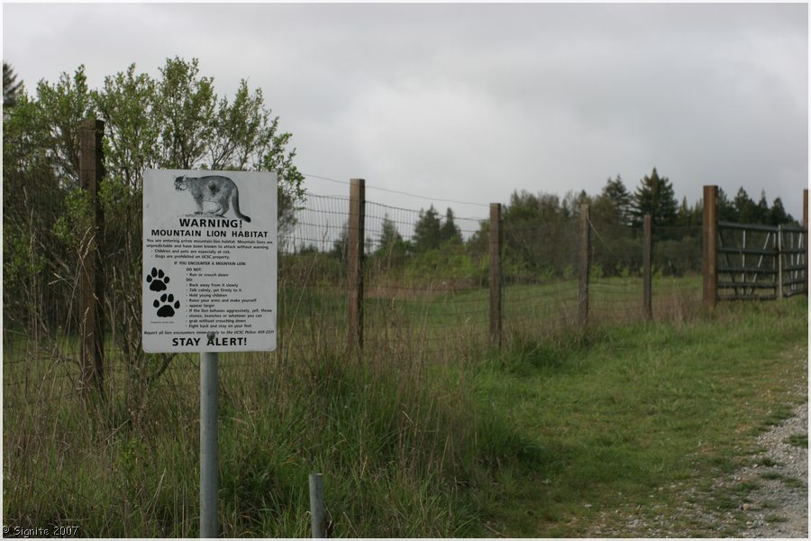 Click to view next image