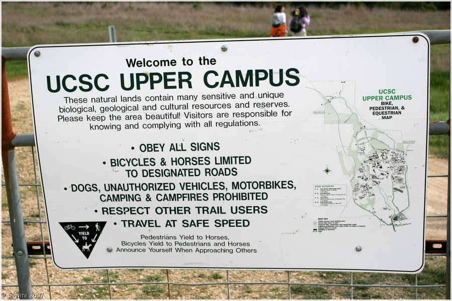 Click to view next image