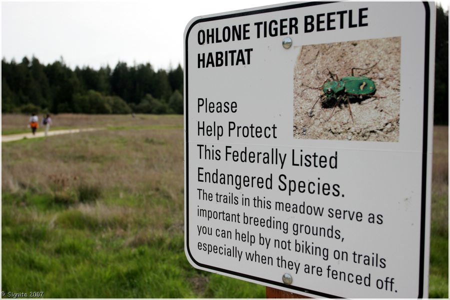 Click to view next image