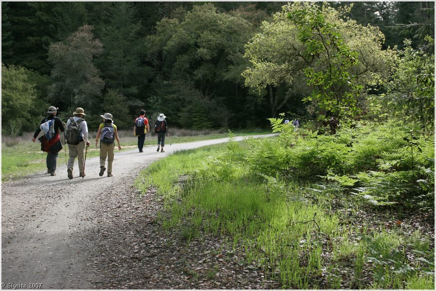 Click to view next image