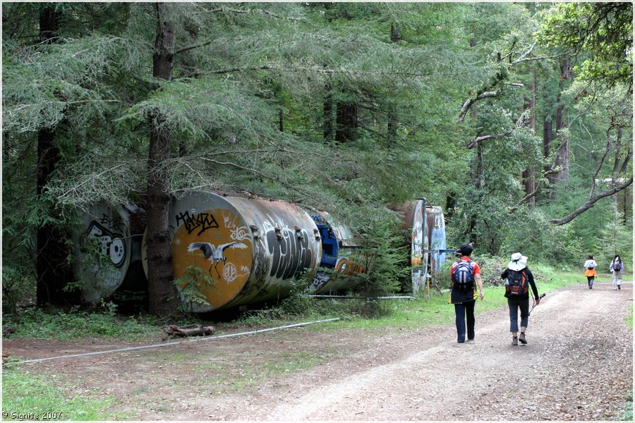 Click to view next image