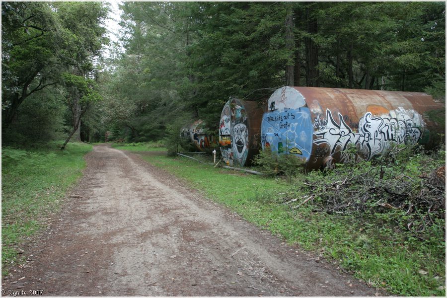 Click to view next image