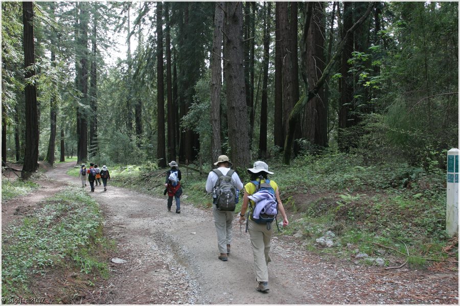 Click to view next image