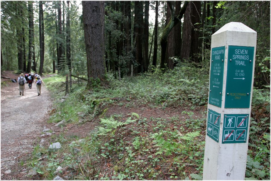 Click to view next image