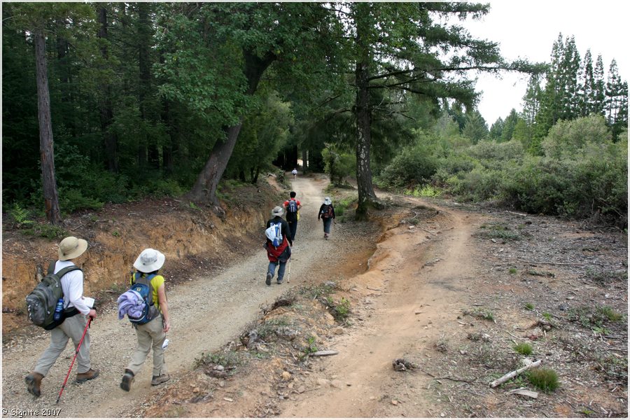 Click to view next image