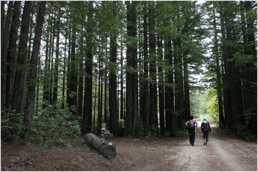 Click to view next image