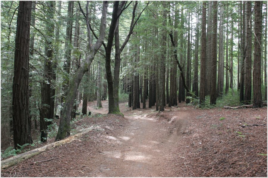 Click to view next image