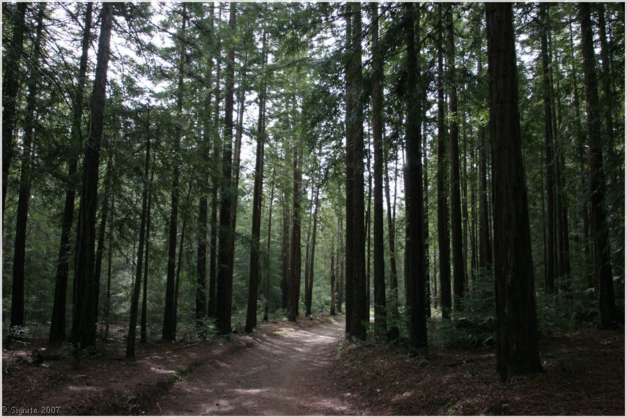 Click to view next image