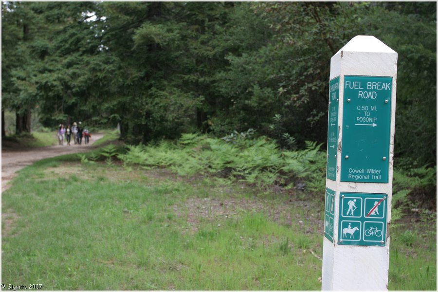 Click to view next image