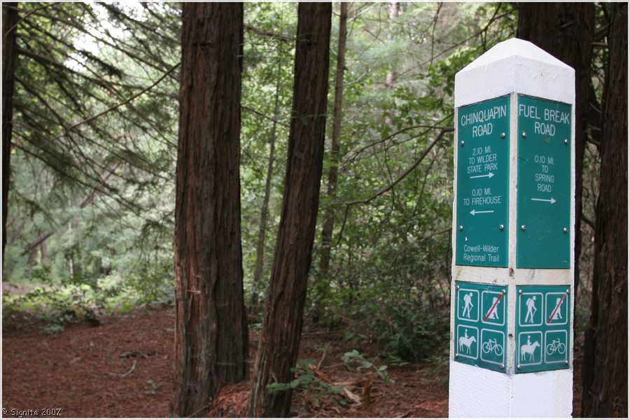 Click to view next image