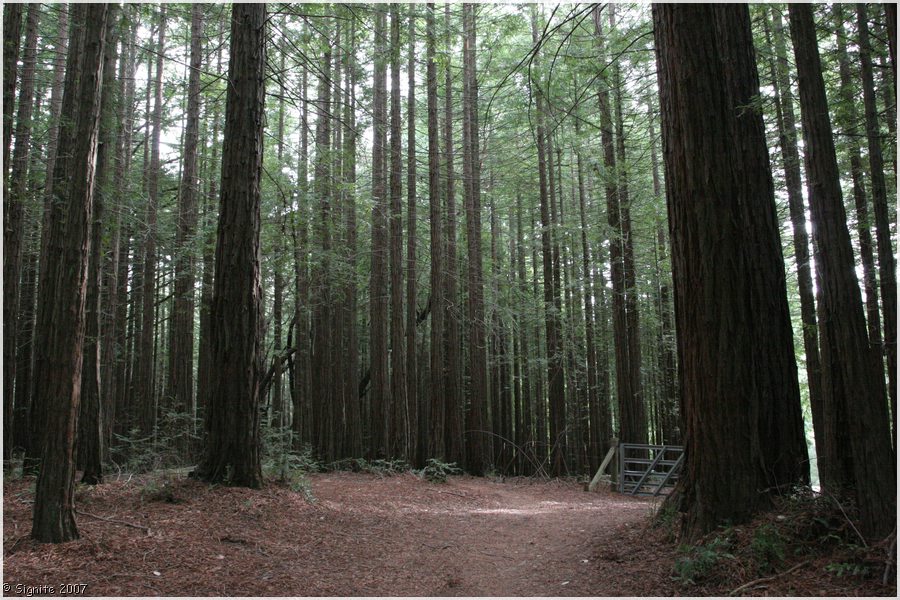 Click to view next image