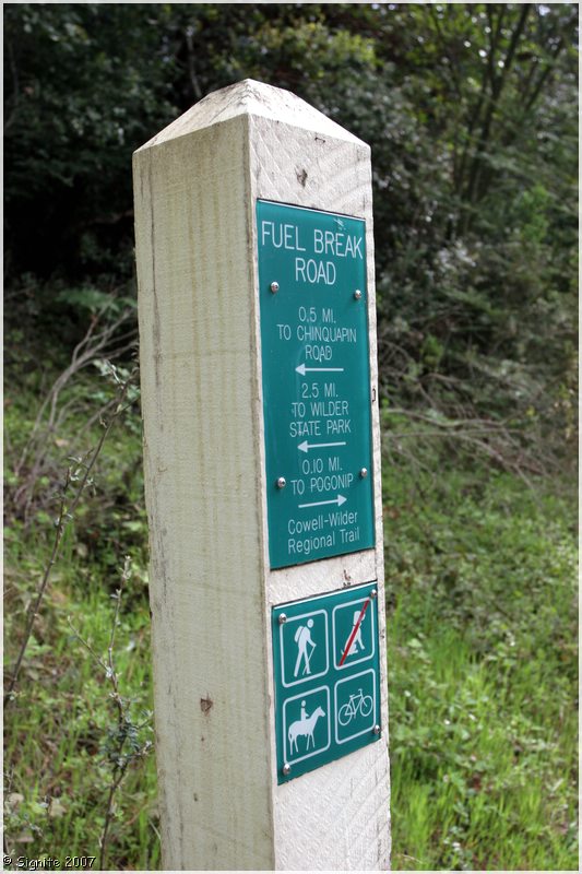 Click to view next image