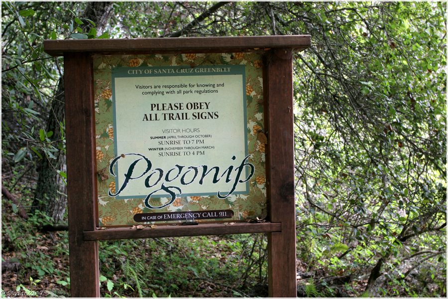 Click to view next image