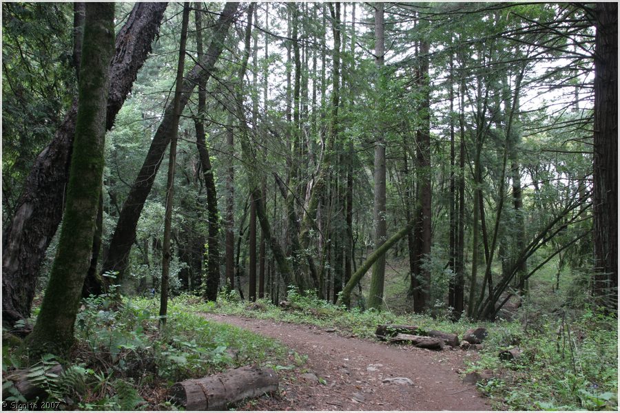 Click to view next image