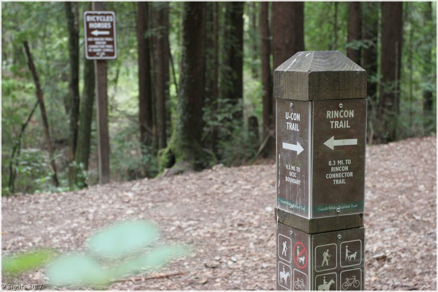 Click to view next image