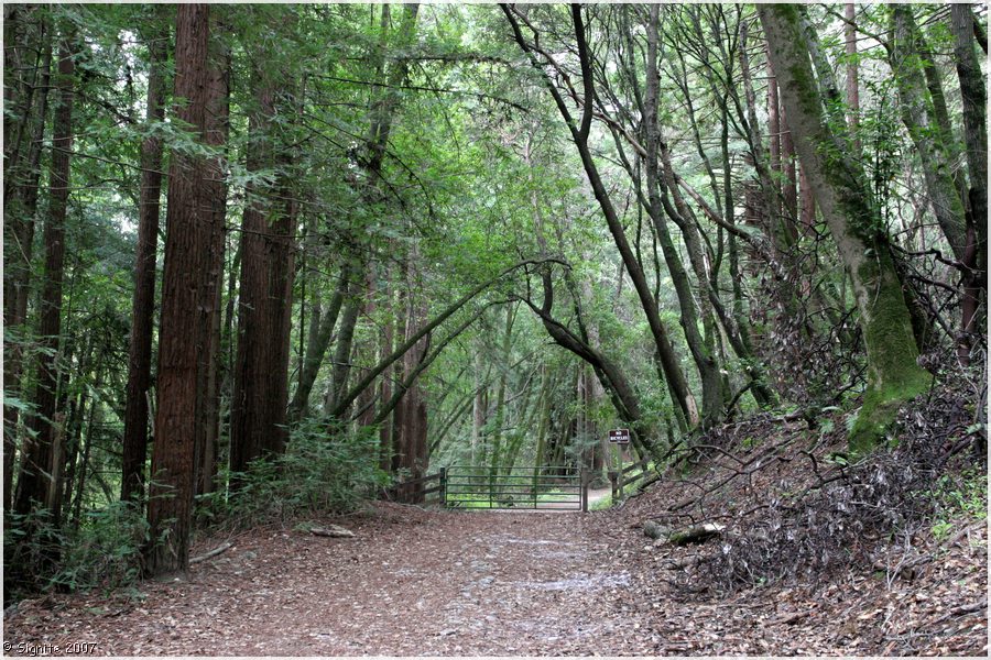 Click to view next image