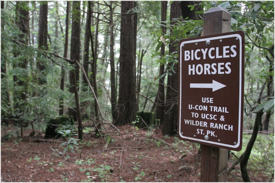 Click to view next image