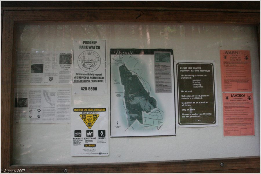 Click to view next image