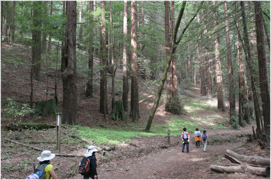 Click to view next image