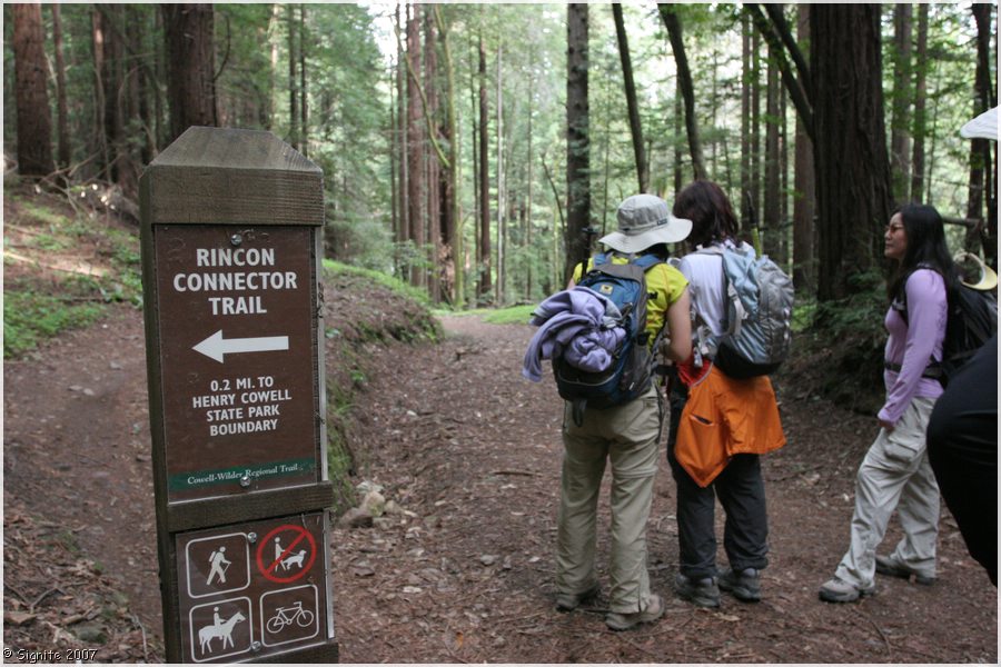 Click to view next image