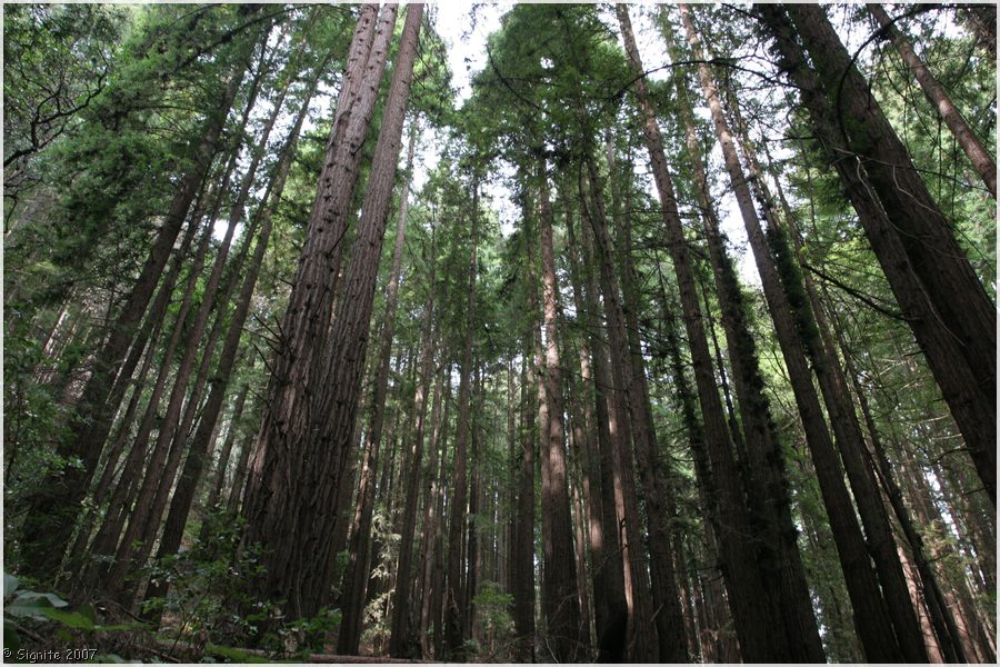 Click to view next image