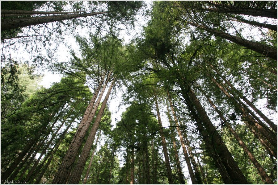 Click to view next image