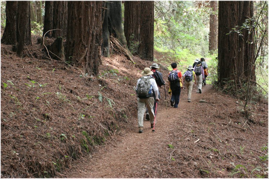 Click to view next image