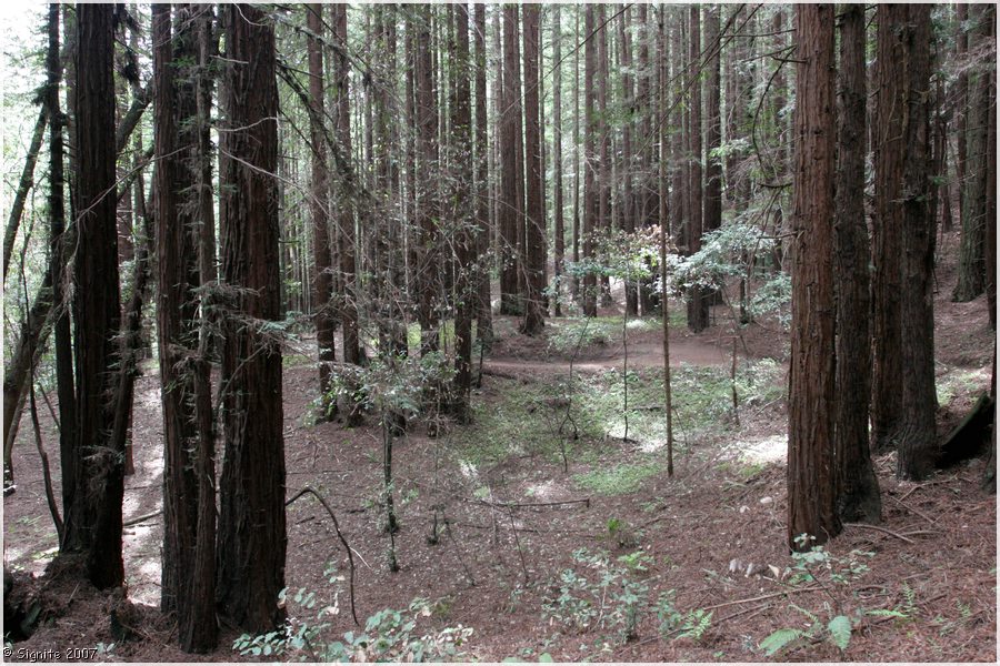 Click to view next image