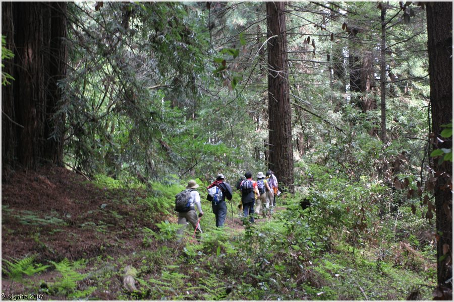 Click to view next image