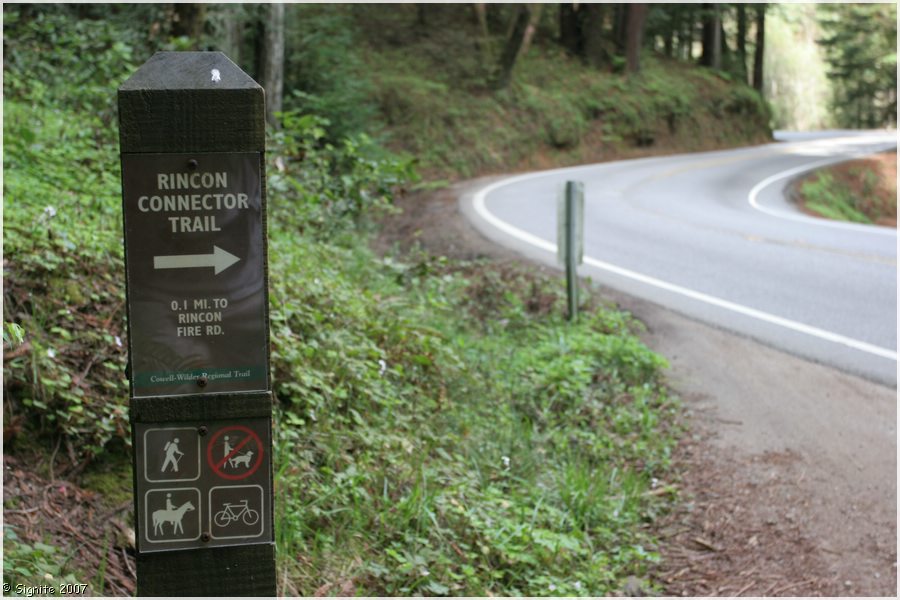 Click to view next image