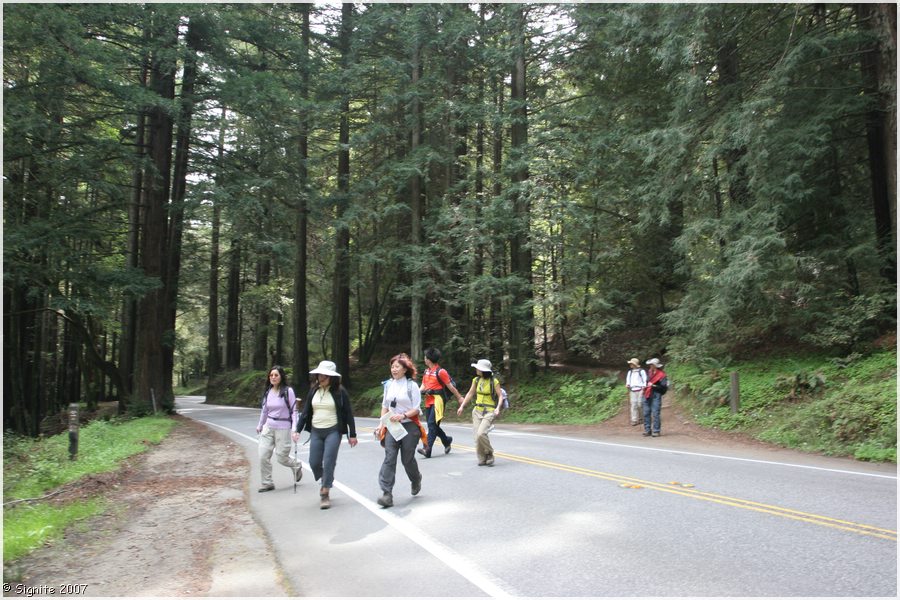 Click to view next image