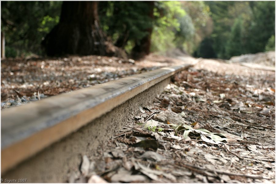 Click to view next image