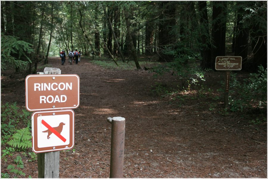 Click to view next image