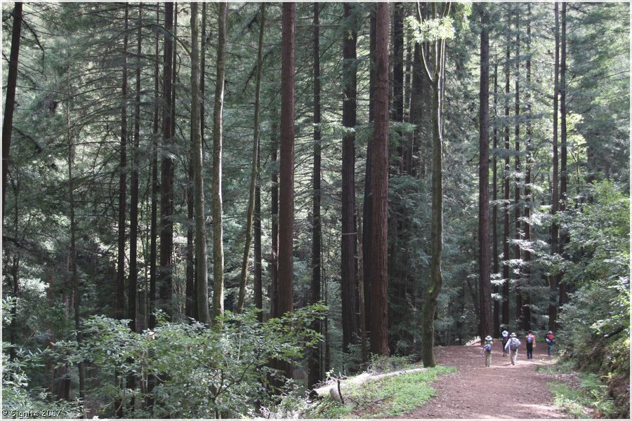 Click to view next image