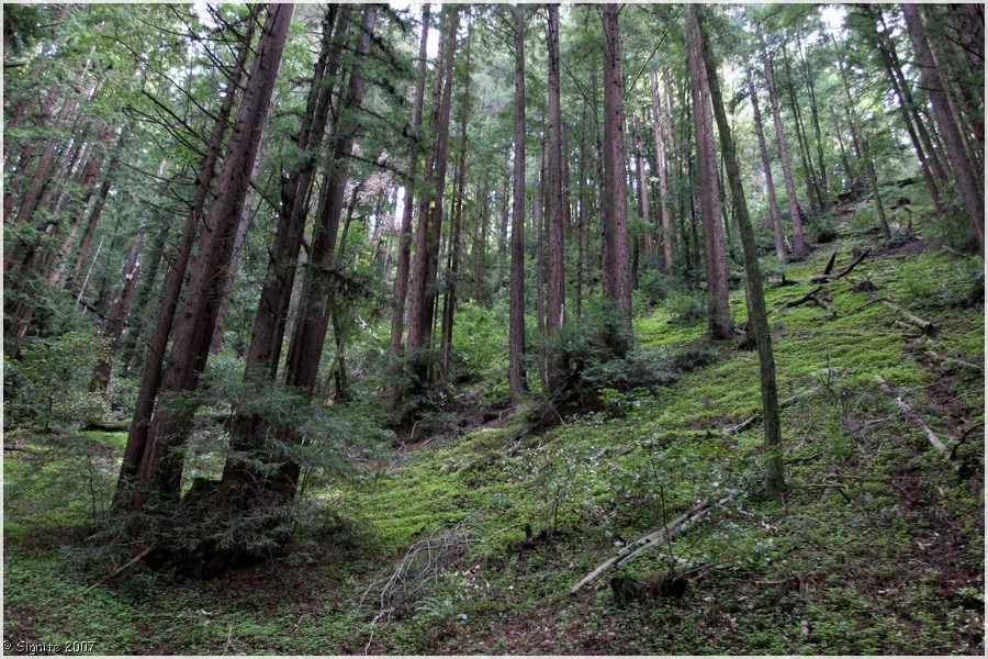 Click to view next image