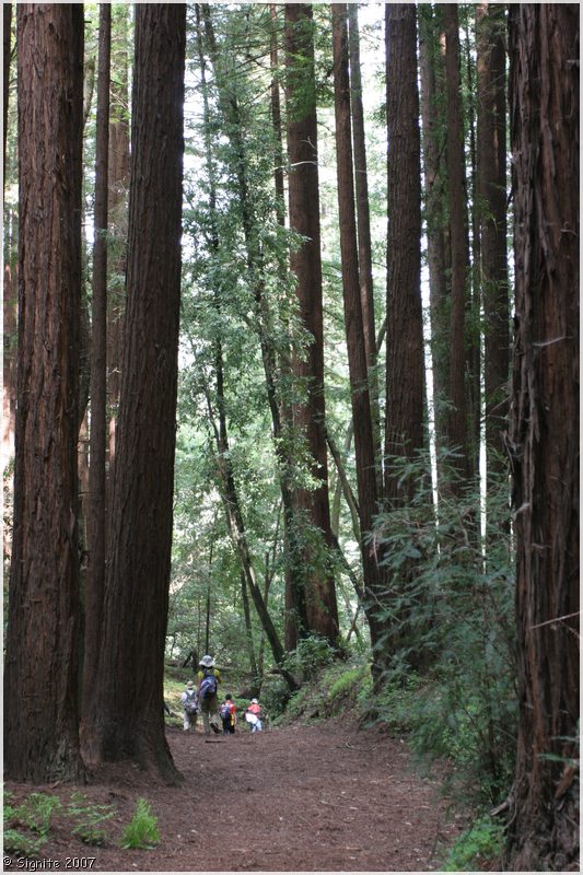 Click to view next image