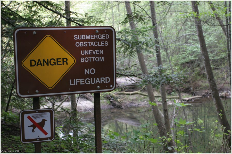 Click to view next image