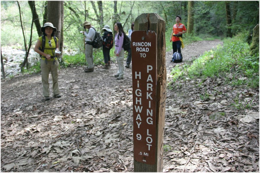 Click to view next image