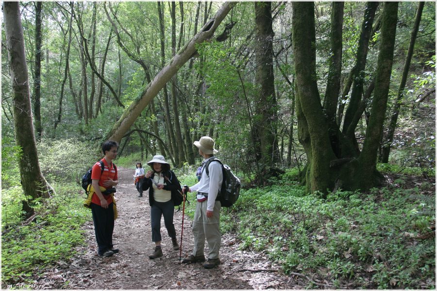 Click to view next image