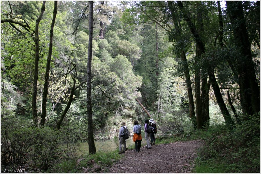 Click to view next image