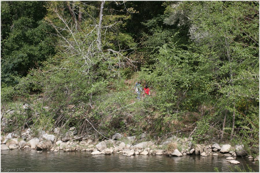 Click to view next image