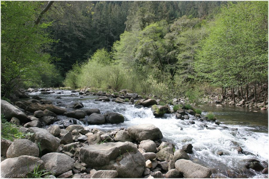 Click to view next image